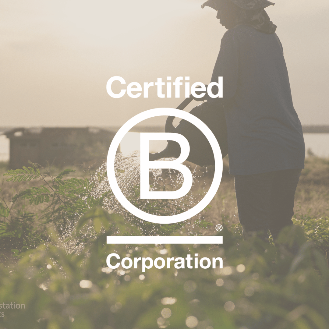 Love Cocoa chocolate with the Certified B Corporation logo