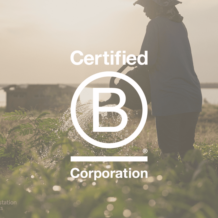 Love Cocoa chocolate with the Certified B Corporation logo
