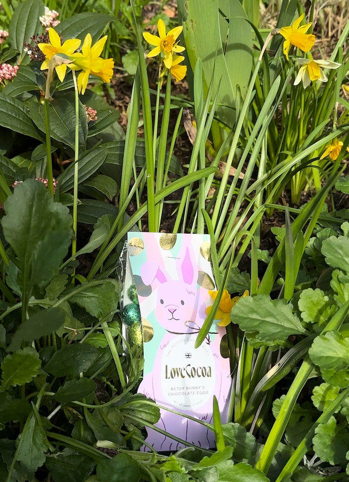 Easter egg hunt with chocolate bunny eggs in the garden