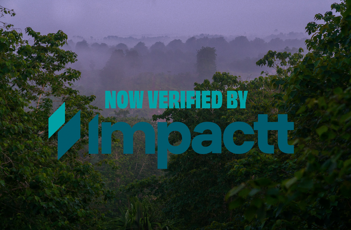 Cocoa farm in Casanare, Colombia, supplying UP-UP