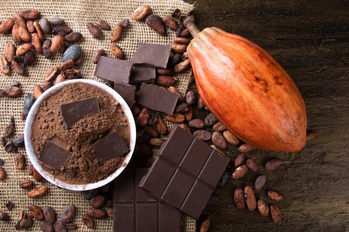 Raw cacao beans next to a bowl of cocoa powder
