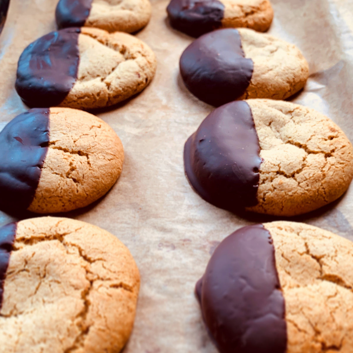 Chocolate ginger biscuits with a cup of tea