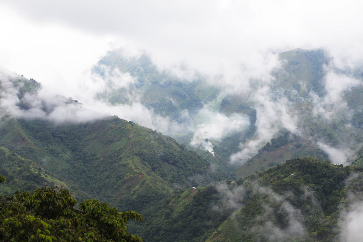 Road trip across Colombia visiting cacao plantations
