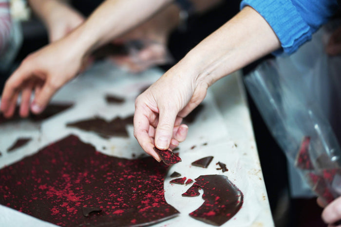 Chocolate workshop guests in COCO's Edinburgh chocolate kitchen